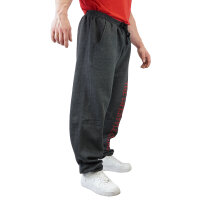 Brachial Sporthose "Gym" dunkelgrau melounge/schwarz L